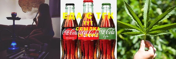 крисы Чегем