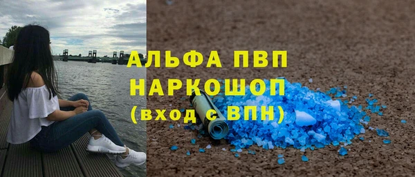 стафф Чекалин