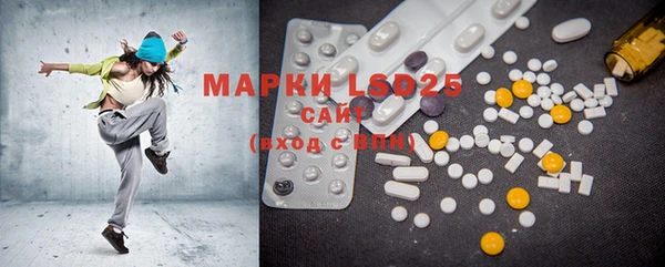 крисы Чегем