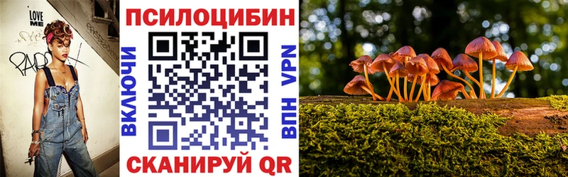 Псилоцибиновые грибы мухоморы  Купить  Спас-Клепики 
